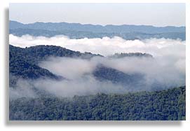 Appalachian mountains and forests