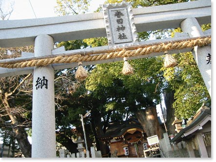 Kasuga Shrine (2).