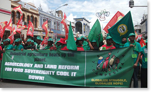 Marching in Durban, South Africa. Photo courtesy La Via Campesina.