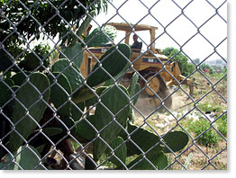 La destrucción de los jardines. Fotos por Roberto Flores.