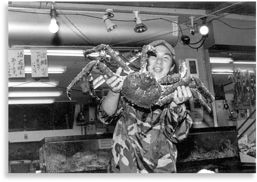 “Crabman”  Vendor holding a huge Russian King Crab at the Morning Market in Hakodate, Hokkaido.  July 2001.