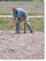A member of the Pele el Ojo Cooperative farms using traditional methods.
