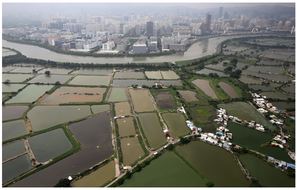 Urban development encroaching on farmland outside Shenzen, China: how much more food could be produced if small farmers were not under siege? (Photo: Robert Ng)