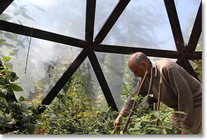 Julian Rose tending to the herbs in the hexagonal greenhouse at the Ecocentre. 
