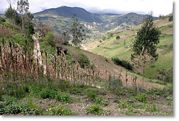 A view of the Andes Mountains, from Shagalpud, a community high in the Andes in the Rivera parish, the Azogues canton, Cañar province, southern Ecuador.