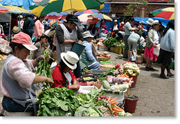 In the market of the city of Cuenca, Azuay province.