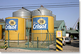 Crisol, una empresa que hace productos de girasol.