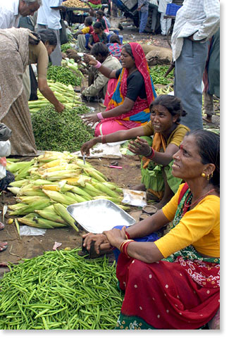 Self-Employed Vegetable Sellers