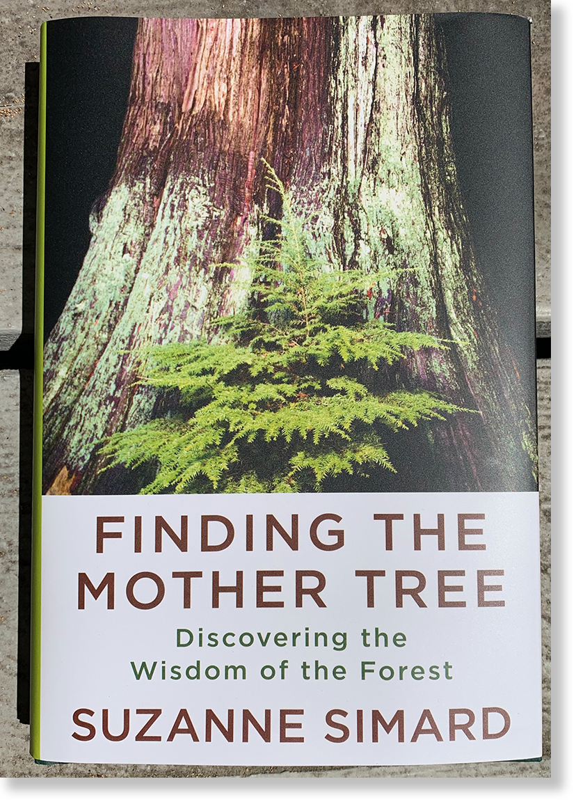 Finding the Mother Tree:  Discovering the Wisdom of the Forest by Suzanne Simard 368 pages, hardcover: $28.95 / Knopf, 2021.