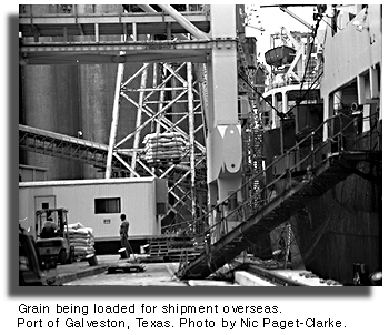Grain being loaded for shipment overseas. Port of Galveston, Texas.  Photo by Nic Paget-Clarke