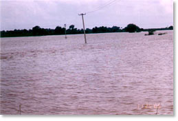 Flooding in the Karur district of Tamil Nadu, India. All photos courtesy the AREDS Team.