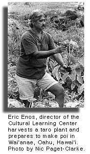 Erik Enos with taro plant. Photo by Nic Paget-Clarke