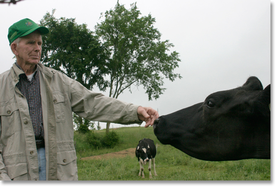 Dairy farmer John Kinsman reaches out to one of his cows on his farm near Lime Ridge, Wisconsin. Photo by Nic Paget-Clarke.