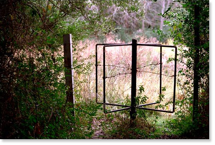 A turnstile out of the woods in east Texas. Photo by Nic Paget-Clarke.