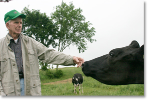 Dairy farmer John Kinsman reaches out to one of his cows on his farm near Lime Ridge, Wisconsin.