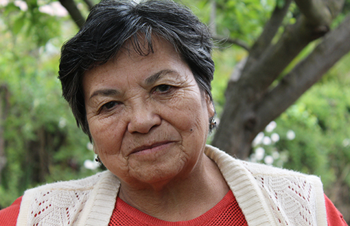 Francisca Rodriguez, a member of Anamuri (National Association of Rural and Indigenous Women) and a constituent member of La Vía Campesina, in her garden in Lampa, Santiago, Chile. Photo by Nic Paget-Clarke.